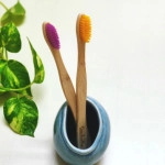 natural bamboo toothbrush assorted colours