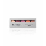 blushbee organic beauty organic eyeshadow palette 5 shades gala ombre