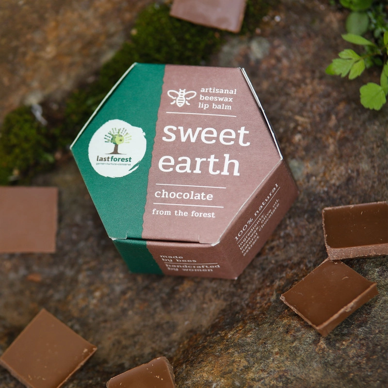 last forest artisanal handmade beeswax lip balm chocolate