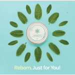 coconut mint lip balm