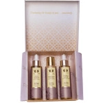 shankara mind body spirit