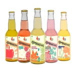 healthy gut kombucha assorted flavors 330ml pack of 5