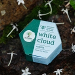 last forest artisanal handmade beeswax lip balm vanilla