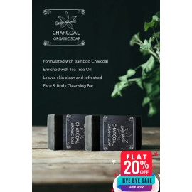 beauty essentials charcoal green tea organic soap set of 2 soaps